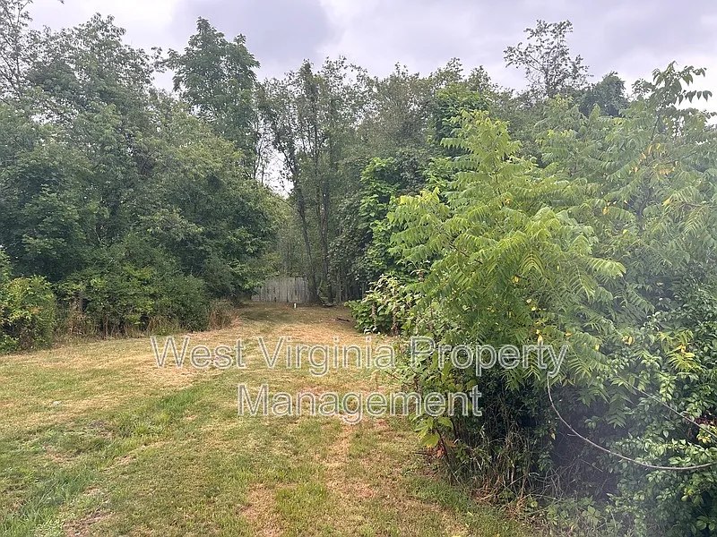 3 bed, 1.0 bath, $1,000 — Photo 2