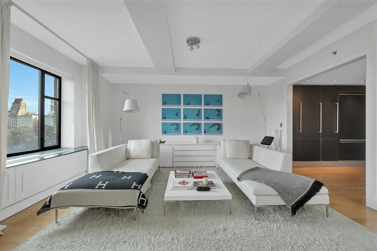 110 Central Park South — Photo 4