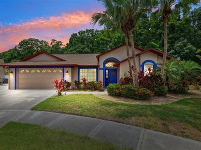 6505 Broadwing Ct, Tampa, FL, 33625