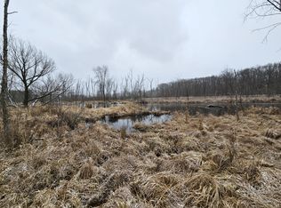 Hoshel Rd, Three Rivers, MI 49093