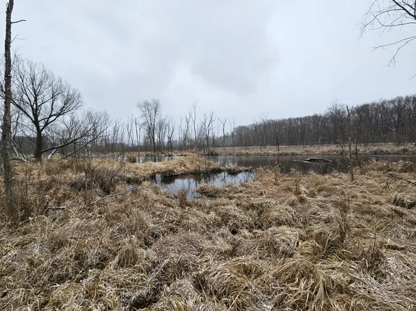 Hoshel Rd, Three Rivers, MI 49093