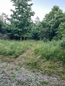 2450 Vance Rd, Sardinia, OH, 45171