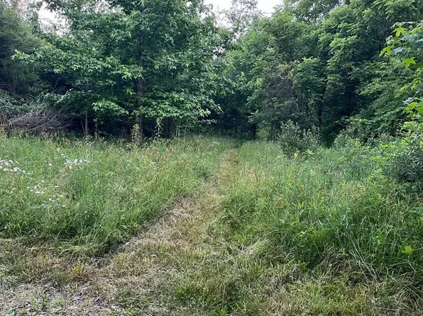 2450 Vance Rd, Sardinia, OH 45171