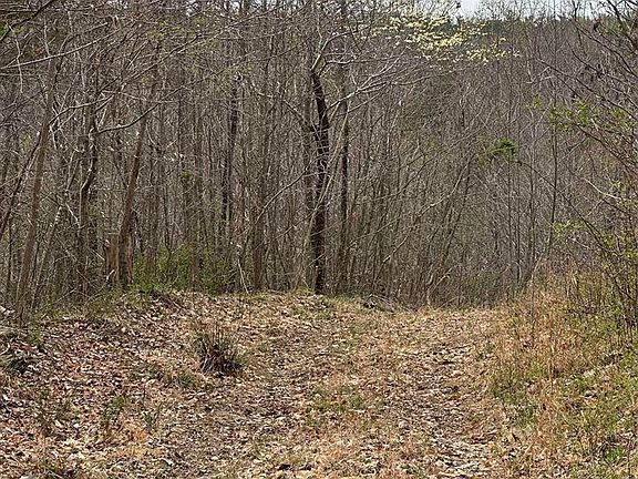 5th image of Mount Poland Church Rd