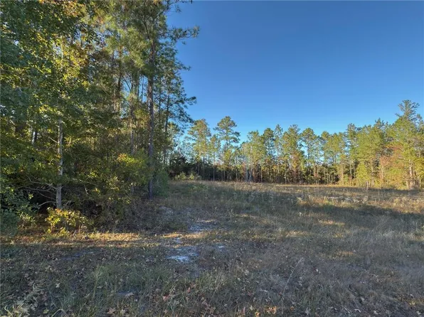 1 Wildwood Country, Woodbine, GA 31569