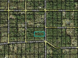 10355 Kirchherr Ave, Hastings, FL 32145