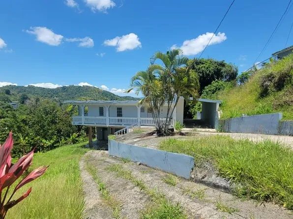 Km 3.1 Carr #788, San Lorenzo, PR 00754