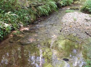 0 Twisted Ivy Ln, Clarkesville, GA 30523