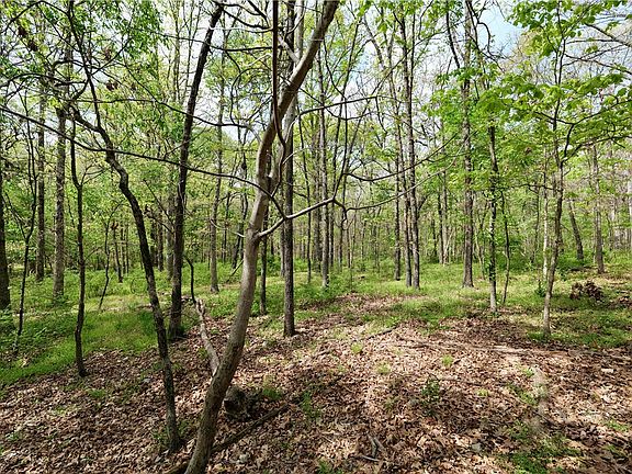 4th image of LOT-23B Hummingbird Rd