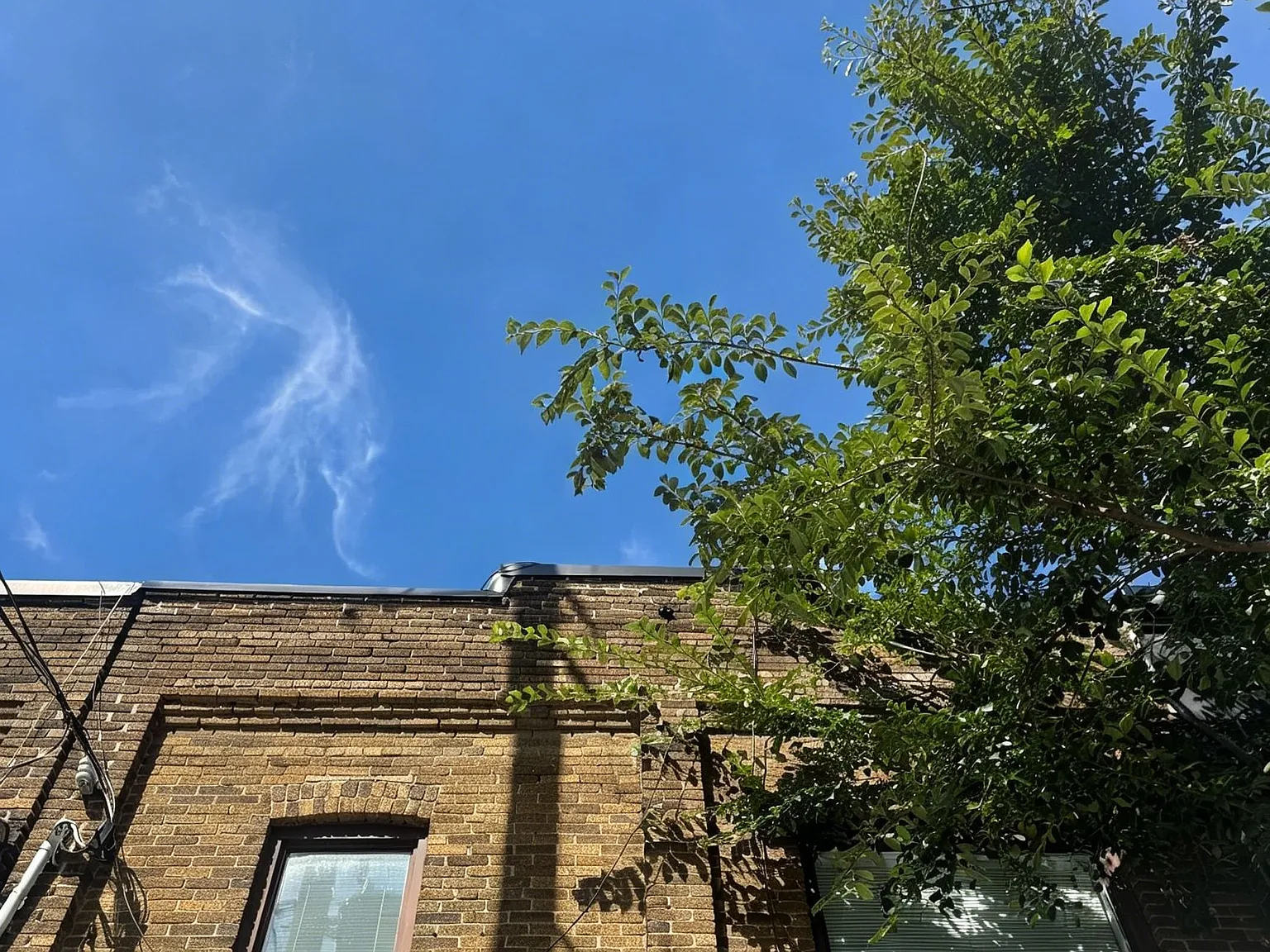 2 bed, $2,250 — Photo 1