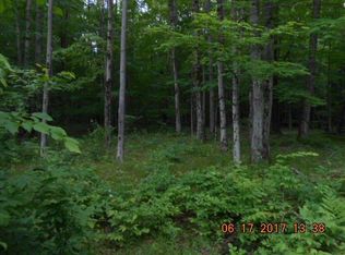 Schlafer Rd, Bainbridge, NY 13733