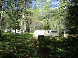 15364 Wild Life Rd, Wolverine, MI 49799