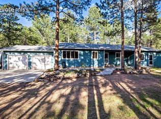 167 E Kelleys Rd, Woodland Park, CO 80863