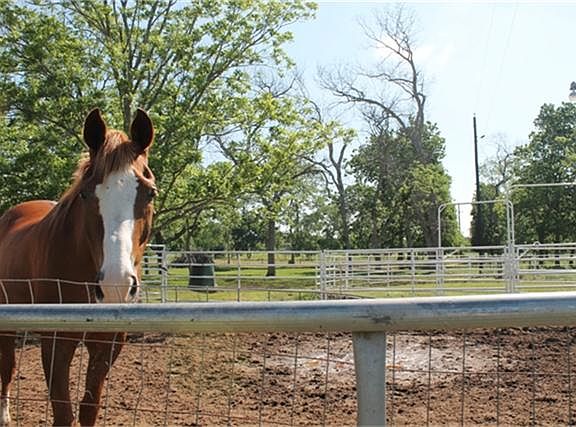 ROUND PEN IS SHARED WITH THE NEIGHBOR. EVEN THE HORSES LOVE IT!