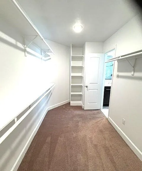 5018 Dickson St — Photo 21