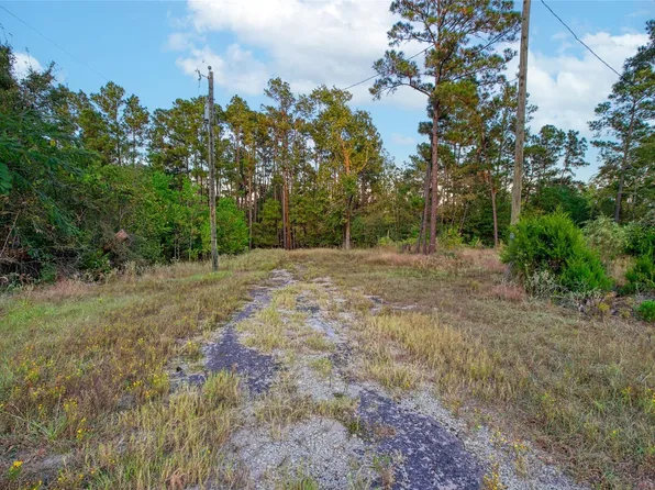 184 Willow Dr, Onalaska, TX 77360