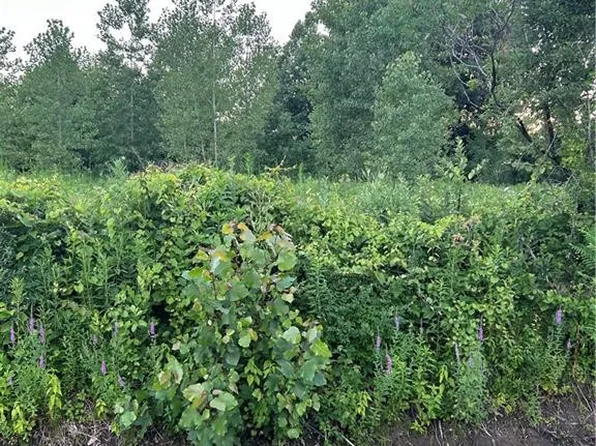 50 S Schwamberger Rd, Holland, OH 43528