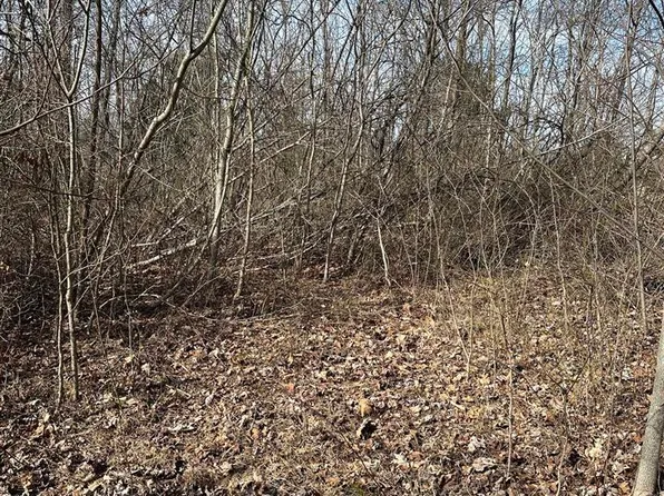 0 Cedar Flats Rd, Battletown, KY 40104