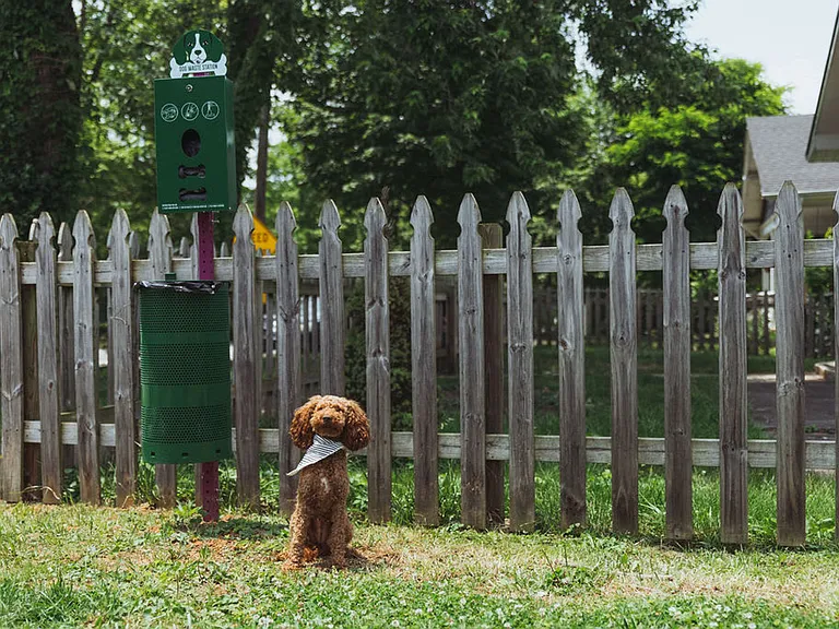Neighborhood