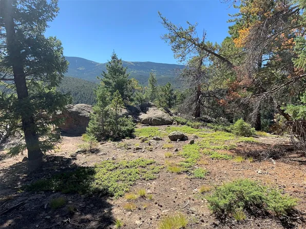 32764 Lodgepole Circle, Evergreen, CO 80439