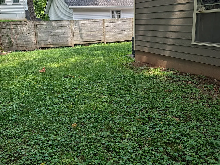 175 Porters Bluff Rd — Photo 2