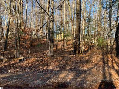 Birch View Trl, Lake Ann, MI, 49650