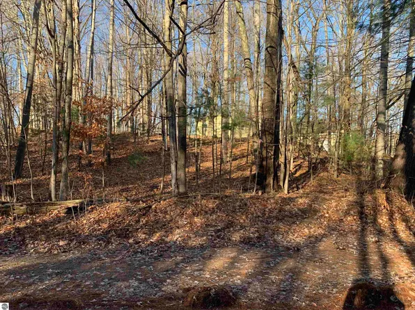 Birch View Trl, Lake Ann, MI 49650