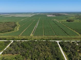 336 Pine Cone Ave, Clewiston, FL 33440