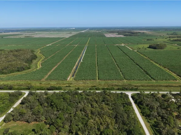 336 Pine Cone Ave, Clewiston, FL 33440