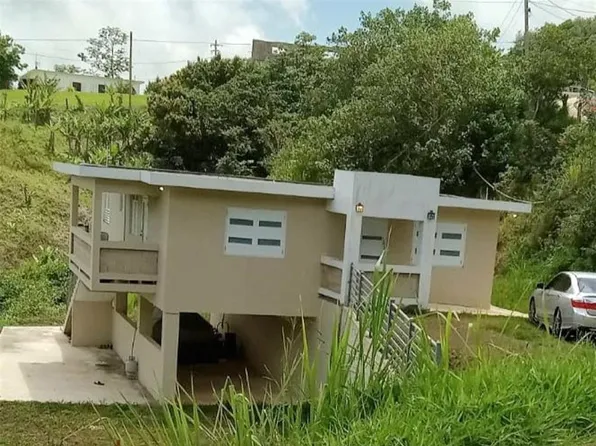 (undisclosed Address), Orocovis, PR 00720