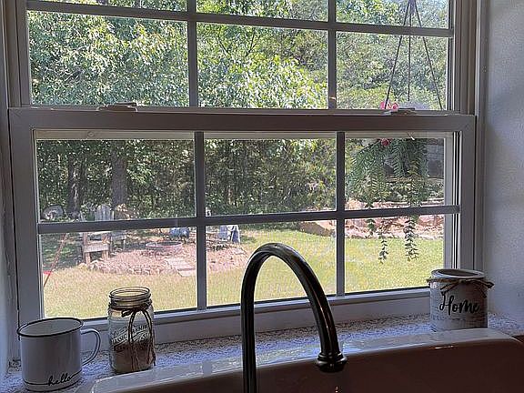 View of backyard 