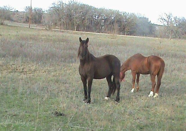 Front acreage 
