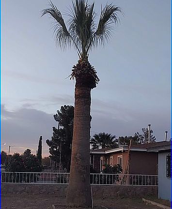 5th image of 408 San Gabriel St