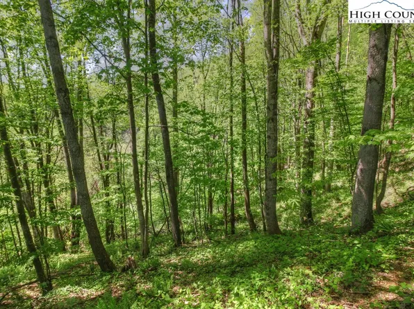 Lot 7 Yasmine Lane, Vilas, NC 28692