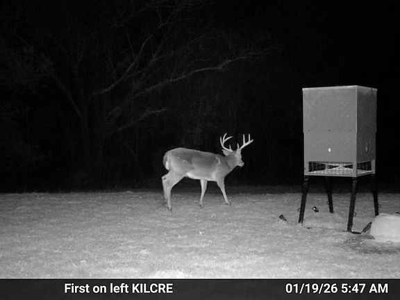 3rd image of 0 Banks St