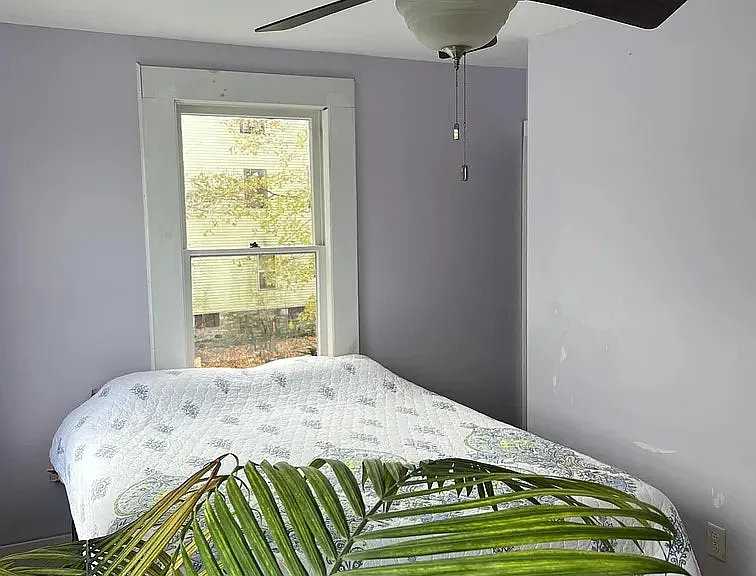 21 Willett St — Photo 3