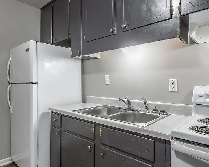 4711 Murray Lake Ln — Photo 8