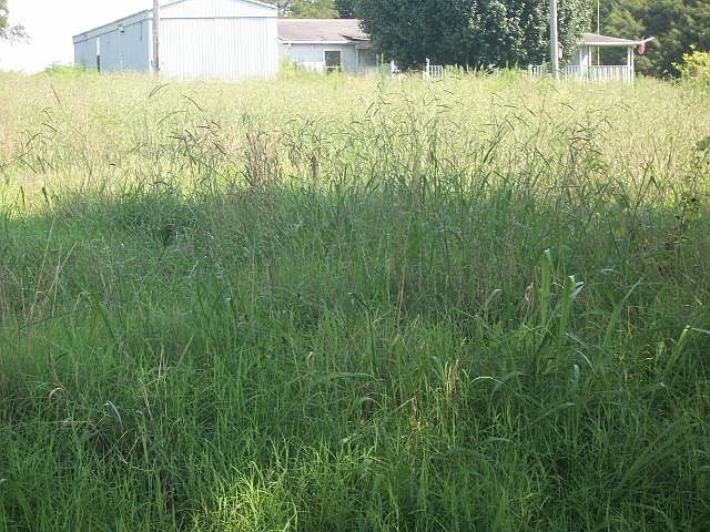 2nd image of 1304 Swan Mill Rd