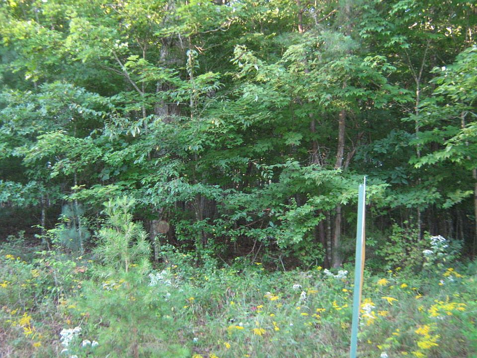 2nd image of 32 Markham Ter