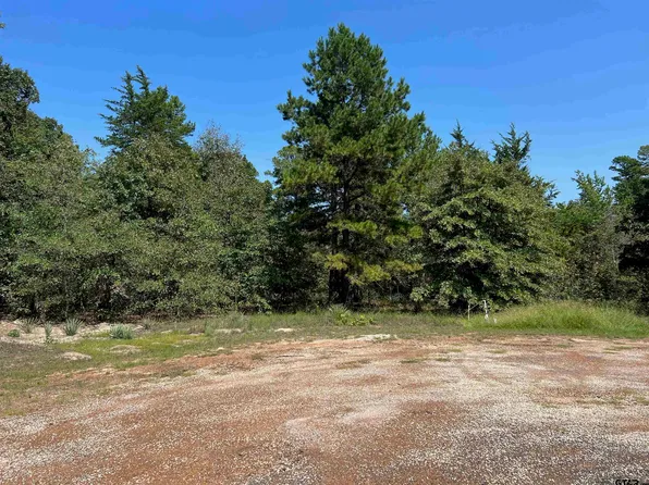 450 Charlya Dr, Scroggins, TX 75480