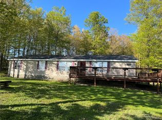 3030 Steffenhagen Rd, Machias, NY 14101