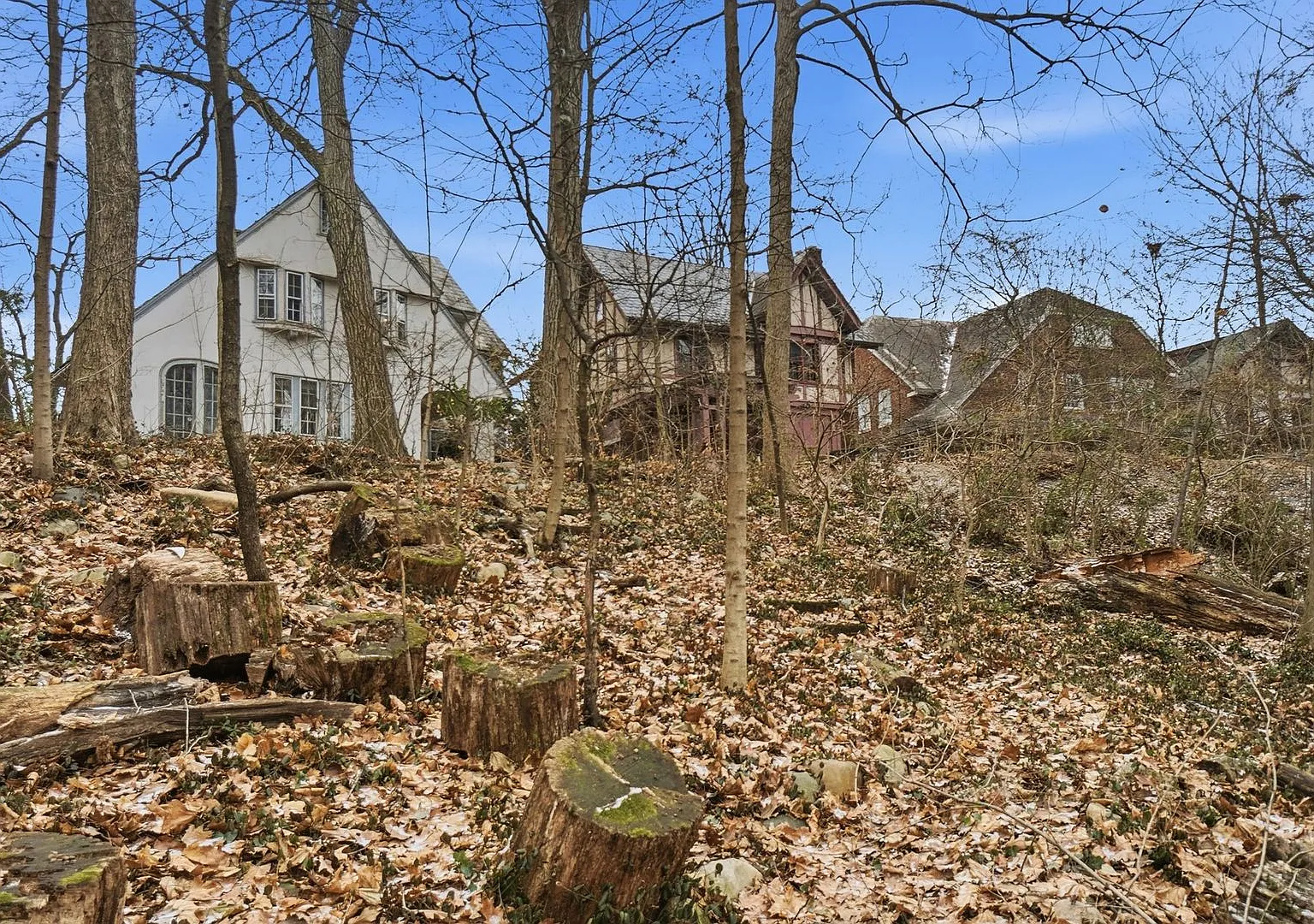 Newly Renovated Private House On Iuka Ave Ravine Central Campus Newly Renovated - Flexible Pricing — Photo 4