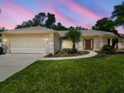 18504 Putters Pl, Tampa, FL, 33647