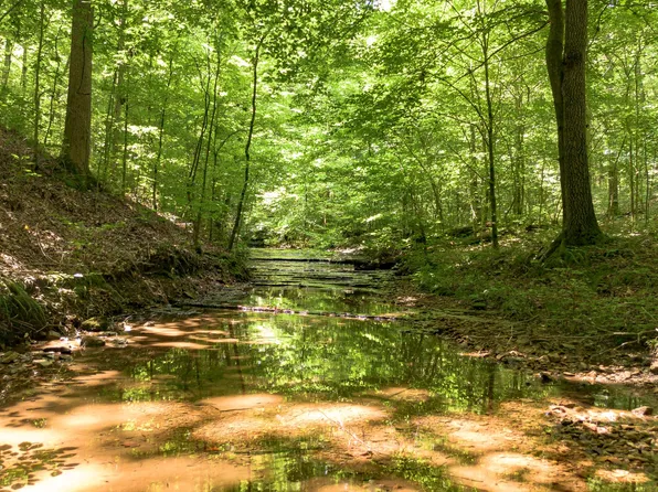 8234 Old Pond Creek Rd, Pegram, TN 37143