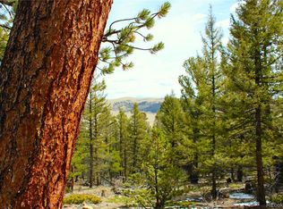 2882 Middle Fork Vista LOT 228, Fairplay, CO 80440