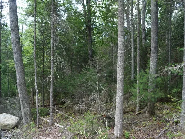 Lot 1 Sunset Hill Road, Hancock, ME 04640