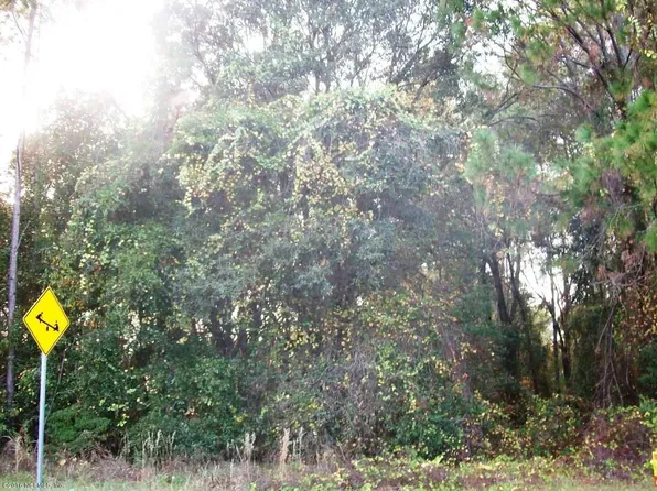 297 Union Ave, Crescent City, FL 32112