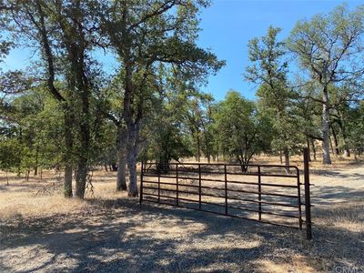 0 Huckleberry, Cottonwood, CA, 96022