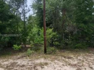 111 George Dr, Interlachen, FL 32148