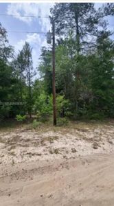 111 George Dr, Interlachen, FL, 32148